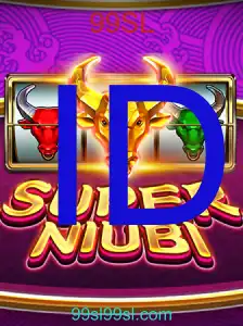 SuperNiubi